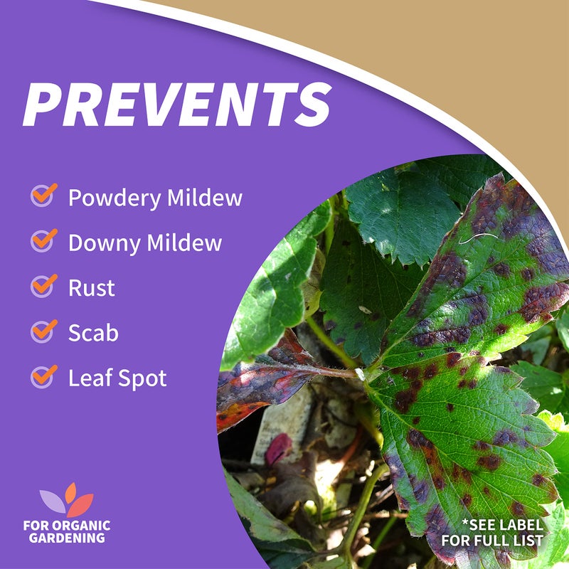 Bonide Captain Jack's Neem Oil, 128 oz Ready-to-Use, Multi-Purpose Fungicide, Insecticide and Miticide for Organic Gardening - Image 5