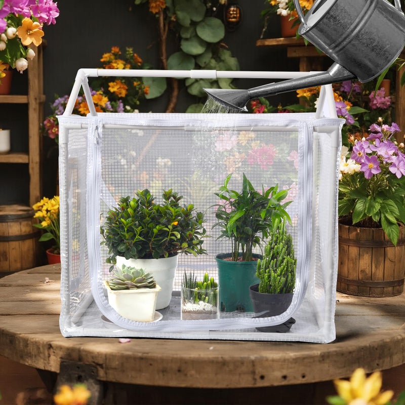 FHWTY Mini Greenhouse for Indoor Plants, Fully Enclosed Mini Indoor Greenhouse with Top Opening, Waterproof Small Indoor Greenhouse for Nursery & Germination - Image 5