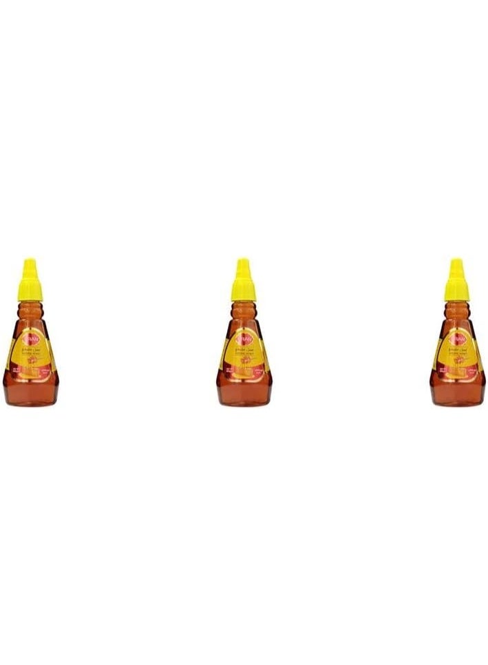 PRAN Natural Honey 227 gm, 3-Pack