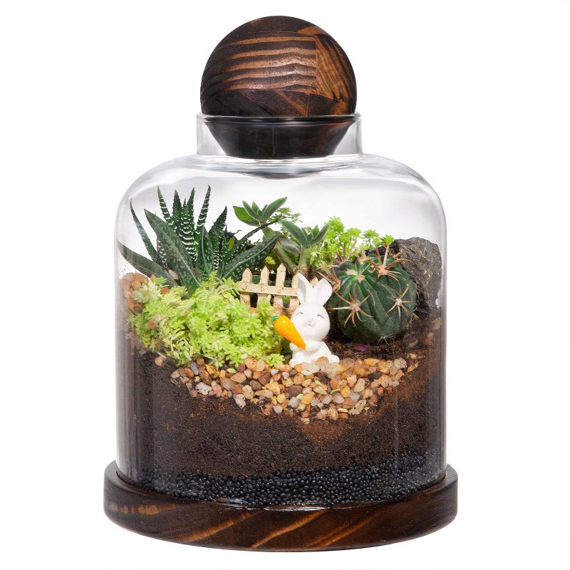 Yangbaga Large Glass Terrarium Succulent Plant Terrarium House for Plant/Moss Ball/Glass Fish Tank Mini Table with Wood Base & Ball lid Office Home Decoration - Image 1