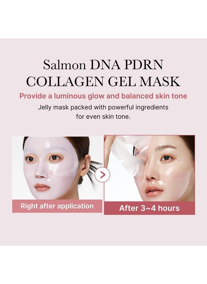 Medicube - Salmon Dna Pdrn Pink Collagen Jelly Gel Mask | Overnight Face Mask For Glass Glow Skin- Elasticity, Hydrating, Firming And Moisturizing | Korean Skincare, 28G, 4Ea - Image 1