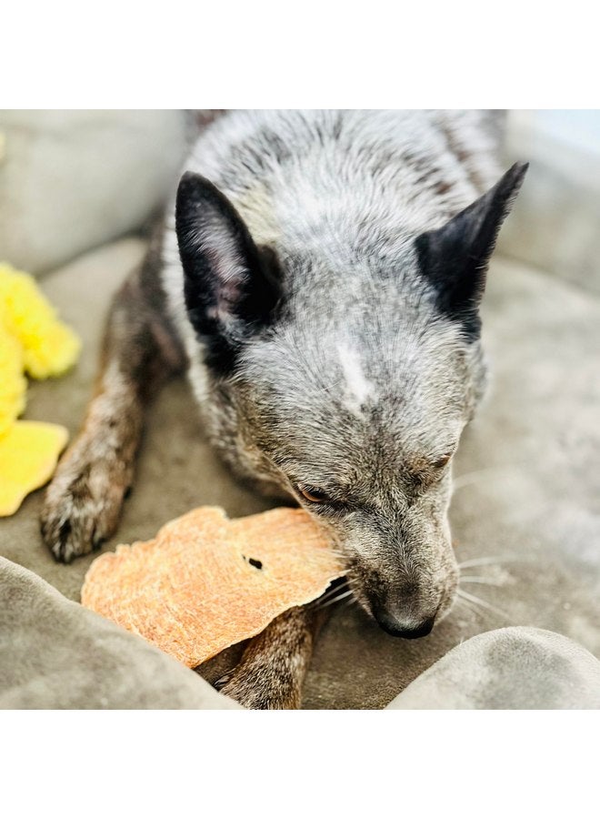 Black Fox BLACK FOX Dehydrated Chicken Breast Dog Treats | 4 oz Single Ingredient | 100% USDA Grade Chicken Jerky | All Natural | Sustainable - Image 3