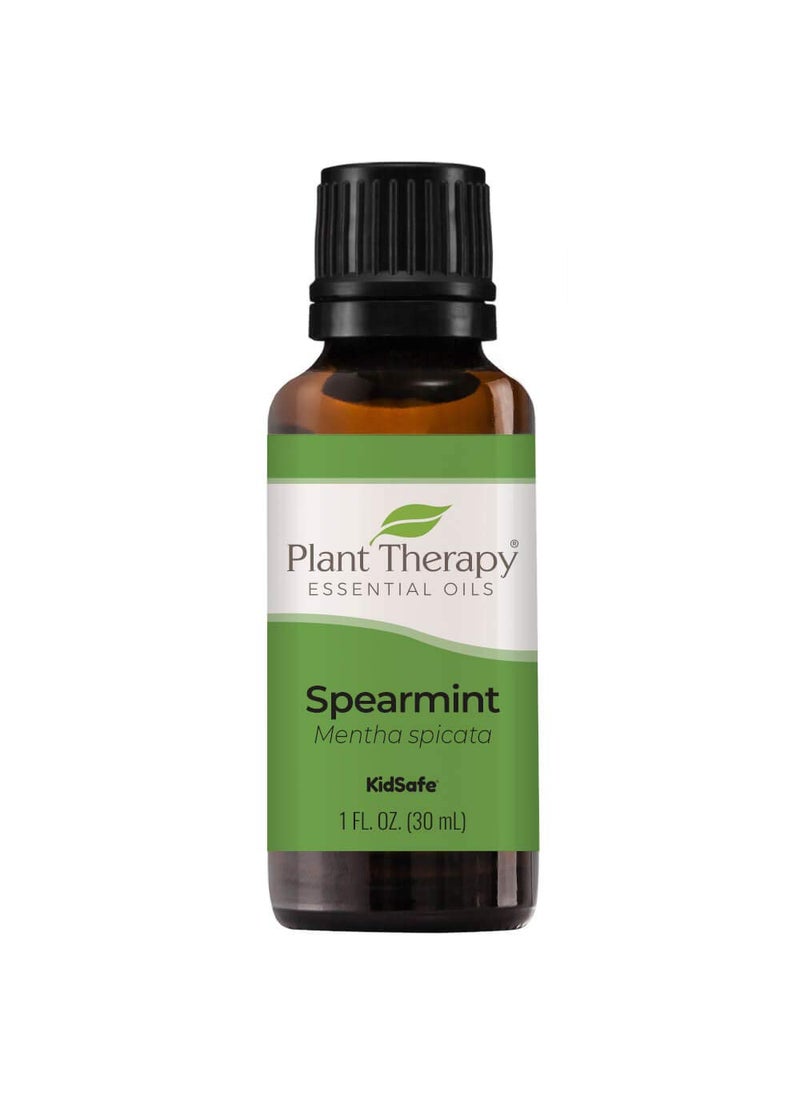 Plant Therapy Plant Therapy Spearmint Essential Oil 30 mL (1 oz) 100% Pure, Undiluted, Therapeutic Grade 