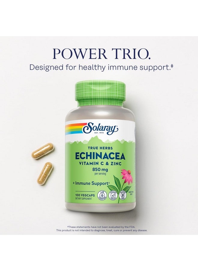 SOLARAY سولاراي إشنسا فيتامين سي وزنك 850 ملغ مع بيوفلافونويدز، كبسولات إشنسا لدعم المناعة الصحية، نباتي، مختبر موثق، ضمان استرداد الأموال لمدة 60 يومًا، 50 حصة، 100 كبسولة نباتية - Image 3