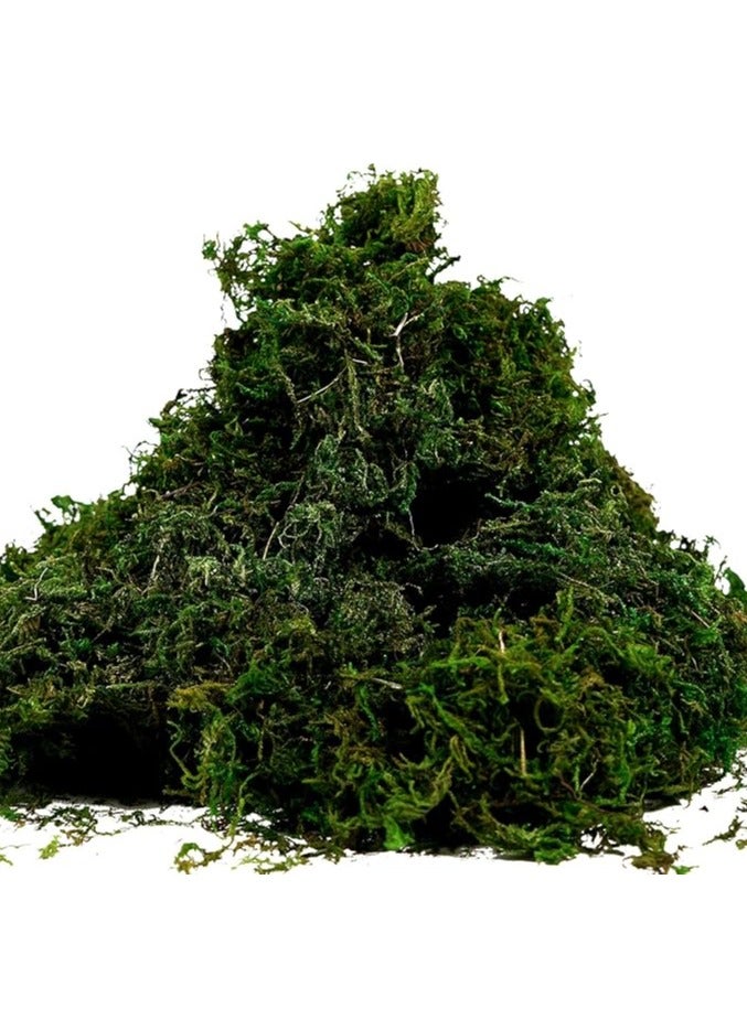 LINGWEI 400gm Artificial Moss Fake Green Moss Premium Faux Green Grass - Image 1