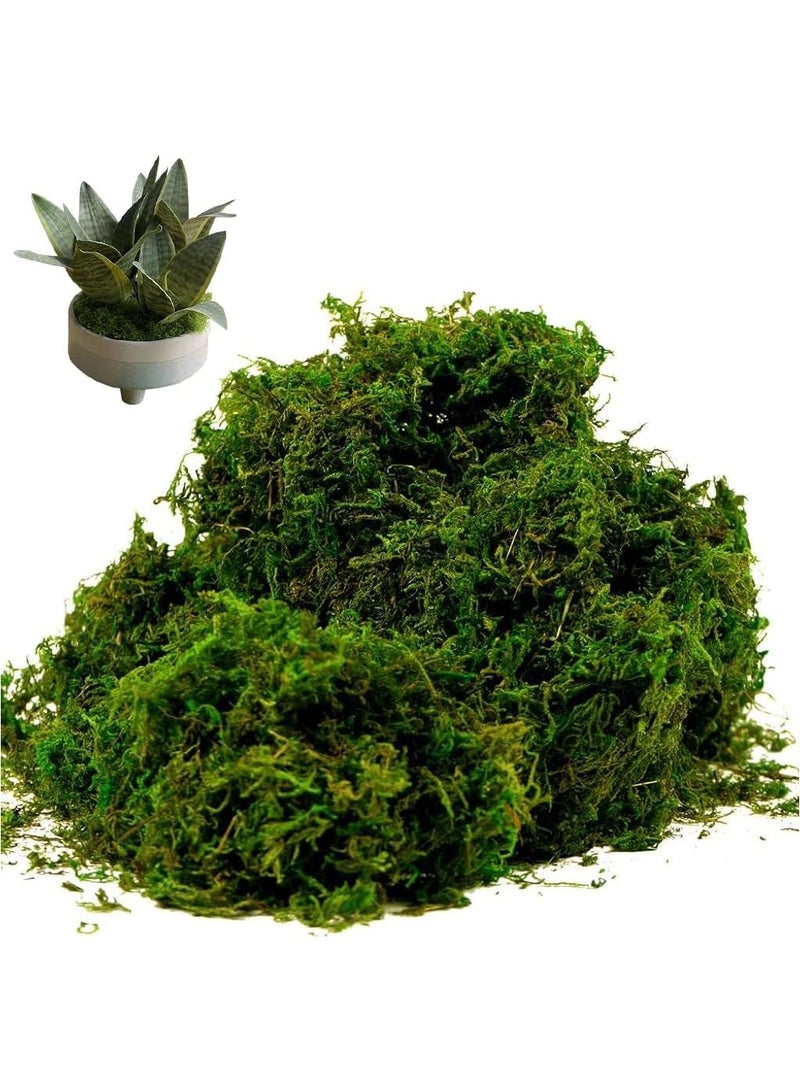 LINGWEI 400gm Artificial Moss Fake Green Moss Premium Faux Green Grass - Image 2