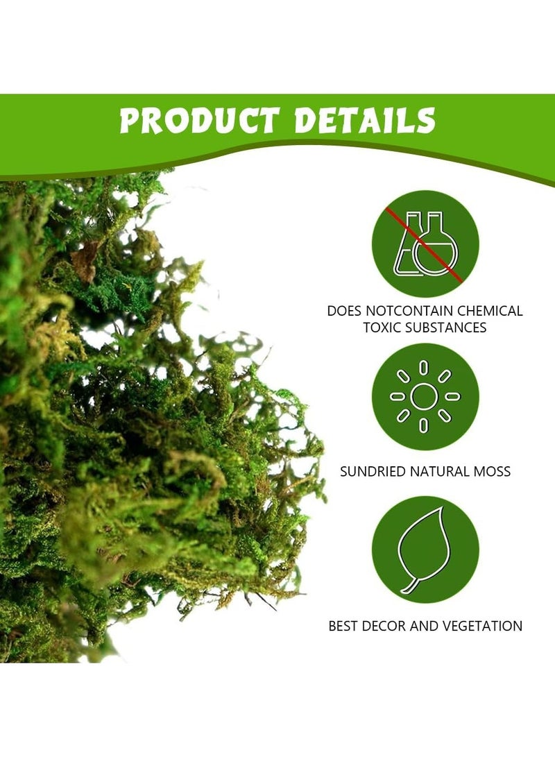 LINGWEI 400gm Artificial Moss Fake Green Moss Premium Faux Green Grass - Image 4