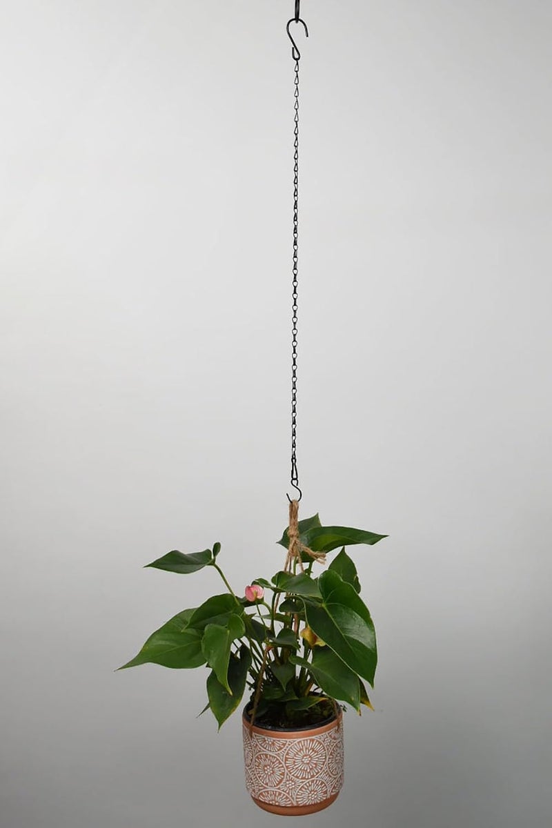 Sersberg Chain for Hanging Plants,25 Inch Black Hanging Chain,Hanging Basket Chain Kits with Hooks for Bird Feeder Hanging Plant Extender Porch Wind Chime (Black, 25 Inch-4PCS) - Image 5