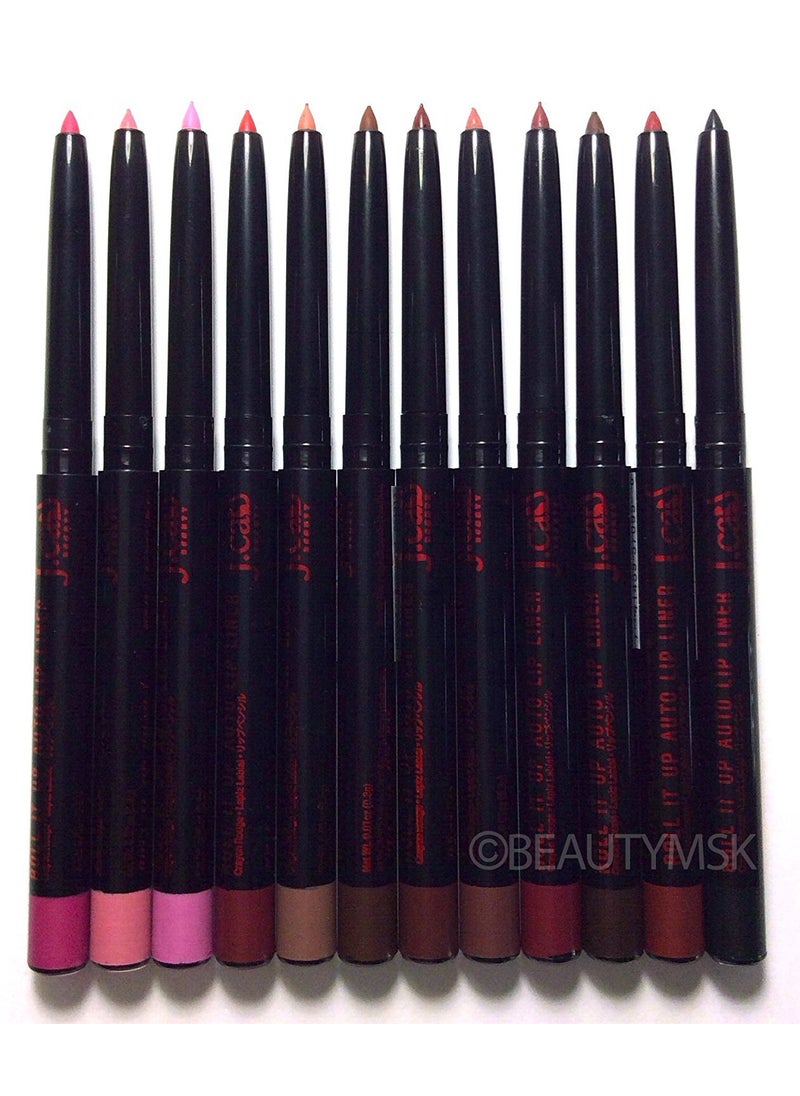 J.Cat Beauty - JCAT BEAUTY Roll It up Auto Lip Pencil Liner All 12 Colors - Image 1