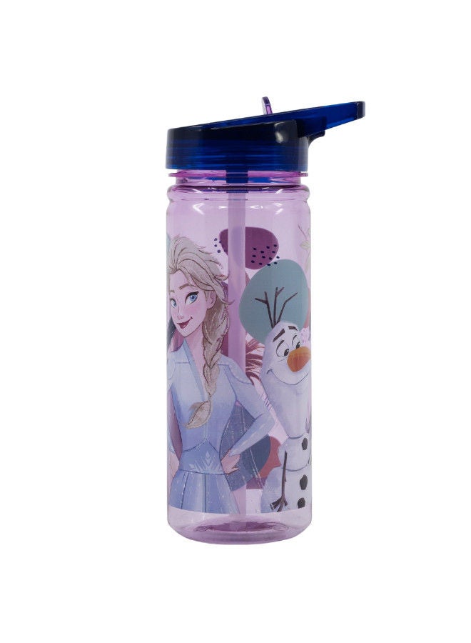 Disney Frozen Bottle Eco Zen 580ml Multicolor Water Bottle Drinking Bottle Hydration Bottle Tumbler Flask Portable Glass Travel Mug - Image 2
