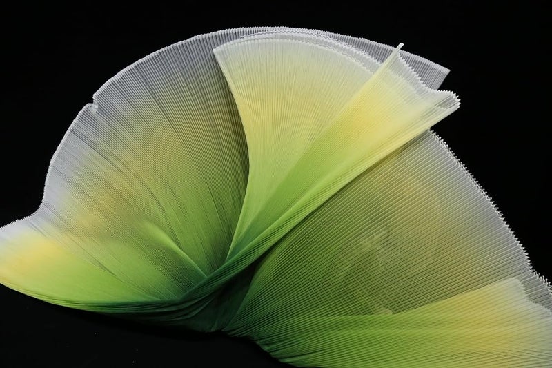 YABINA Ruffled Lace Trims 1 Yards Pleated Lace Fabric Trim Organza Ruffled Fabric Chiffon Tulle Border for Sewing Dress Bag Costume Decoration Trimming Craft Gradient Avocado Green - Image 3