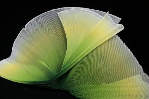 YABINA Ruffled Lace Trims 1 Yards Pleated Lace Fabric Trim Organza Ruffled Fabric Chiffon Tulle Border for Sewing Dress Bag Costume Decoration Trimming Craft Gradient Avocado Green - Image 1