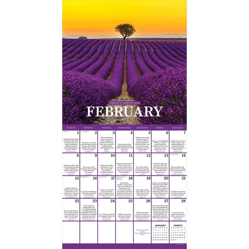 TF Publishing 2026 Daily Verse Wall Calendar - Large Grids for Appointments and Scheduling - Vertical Monthly Wall Calendar 2026 with Premium Gloss Paper for Home and Office Organization - 12x12in - Image 2