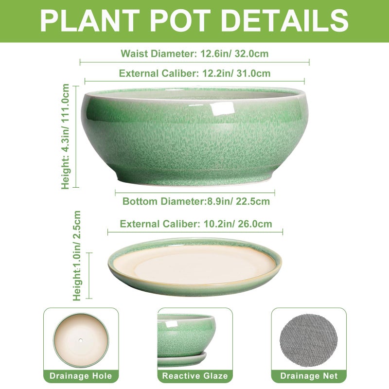SQOWL Succulent Planter 12 Inch - Ceramic Bonsai Pots with Drainage Hole and Saucer, Large Shallow Planter, Bowl Round Planter for Indoor Outdoor Plants Flower, Room Decor, Birthday Gifts, Green - Image 2