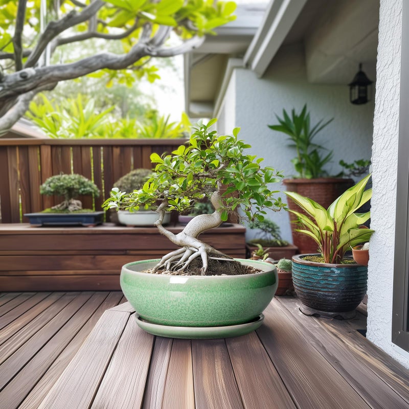 SQOWL Succulent Planter 12 Inch - Ceramic Bonsai Pots with Drainage Hole and Saucer, Large Shallow Planter, Bowl Round Planter for Indoor Outdoor Plants Flower, Room Decor, Birthday Gifts, Green - Image 4