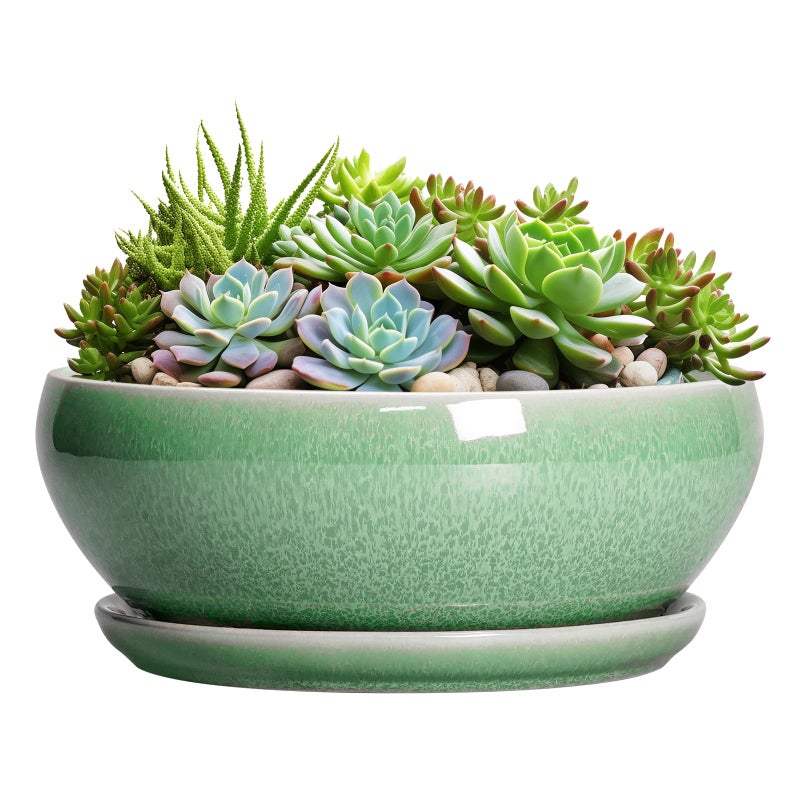 SQOWL Succulent Planter 12 Inch - Ceramic Bonsai Pots with Drainage Hole and Saucer, Large Shallow Planter, Bowl Round Planter for Indoor Outdoor Plants Flower, Room Decor, Birthday Gifts, Green - Image 1