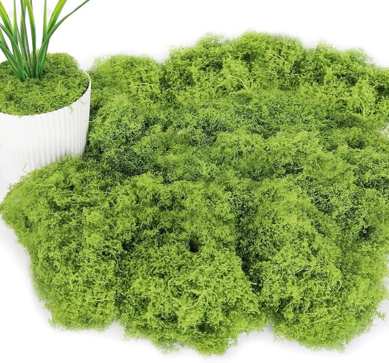 PacuM 100 g Artificial Moss for Decorating, Process Moss, Nylon Fake Moss, Artificial Moss for Crafts, Artificial Moss for Crafts, Iceland Moss, Artificial Moss for Crafts, Miniature Garden Decoration - Image 1