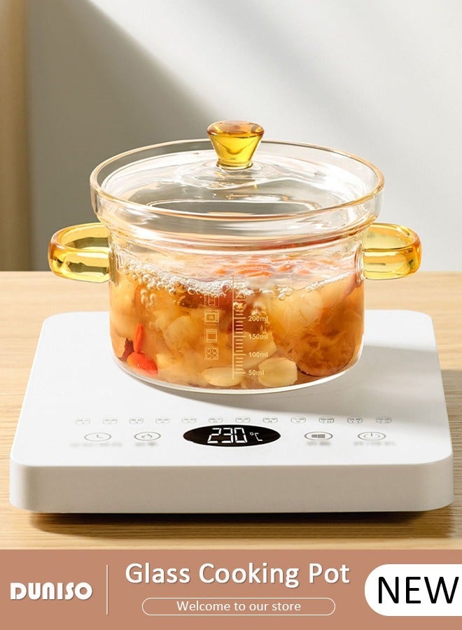 DUNISO Glass Cooking Pot Saucepan with Cover, 450ml Heat-resistant Glass Stovetop Pot and Pan with Lid, The Best Handmade Glass Cookware Set Cooktop Safe for Pasta Noodle, Soup, Milk, Baby Food - Image 1