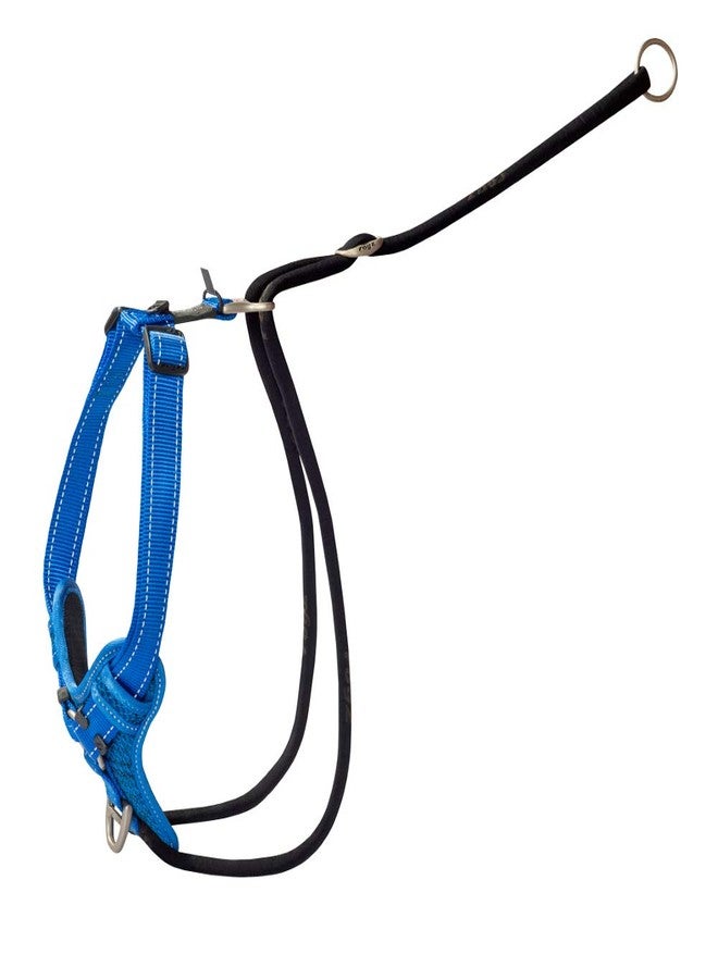 Rogz Stop Pull Dog Harness Reflective Classic X-Large Blue - Image 1