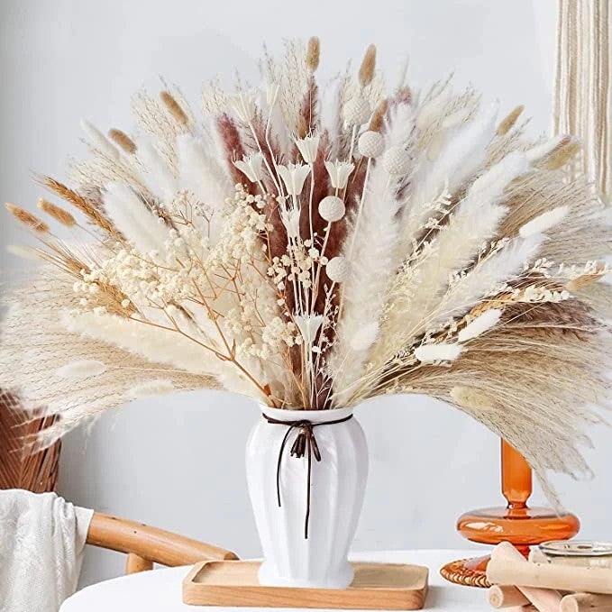 Y&D Natural Dried Pampas Grass Boho Plants Decorative Dried Bouquet Wedding Home Decoration Dried Plants - Image 5