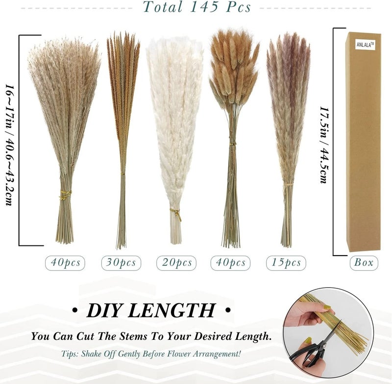 Y&D Natural Dried Pampas Grass Boho Plants Decorative Dried Bouquet Wedding Home Decoration Dried Plants - Image 1