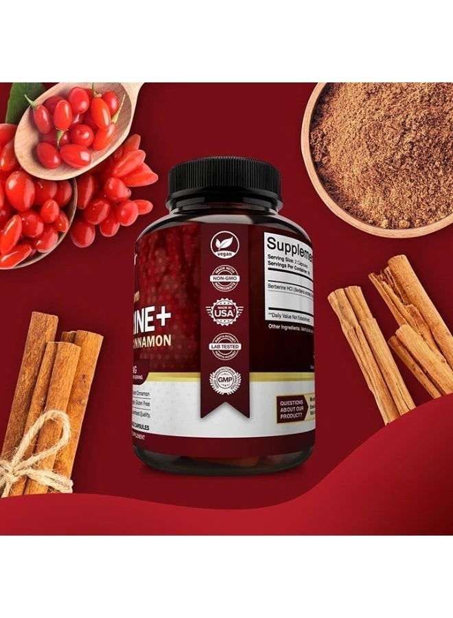 بريميم البربيرين HCL العالي الجودة 1200 ملغ، 120 كبسولة — بالإضافة إلى قرفة سيلان الحقيقية النقية، كبسولات مكملات جذر البربيرين HCI — لجهاز المناعة — يُعطي نسبة مثلى تصل إلى 8% من HCl — 2 زجاجات - Image 5