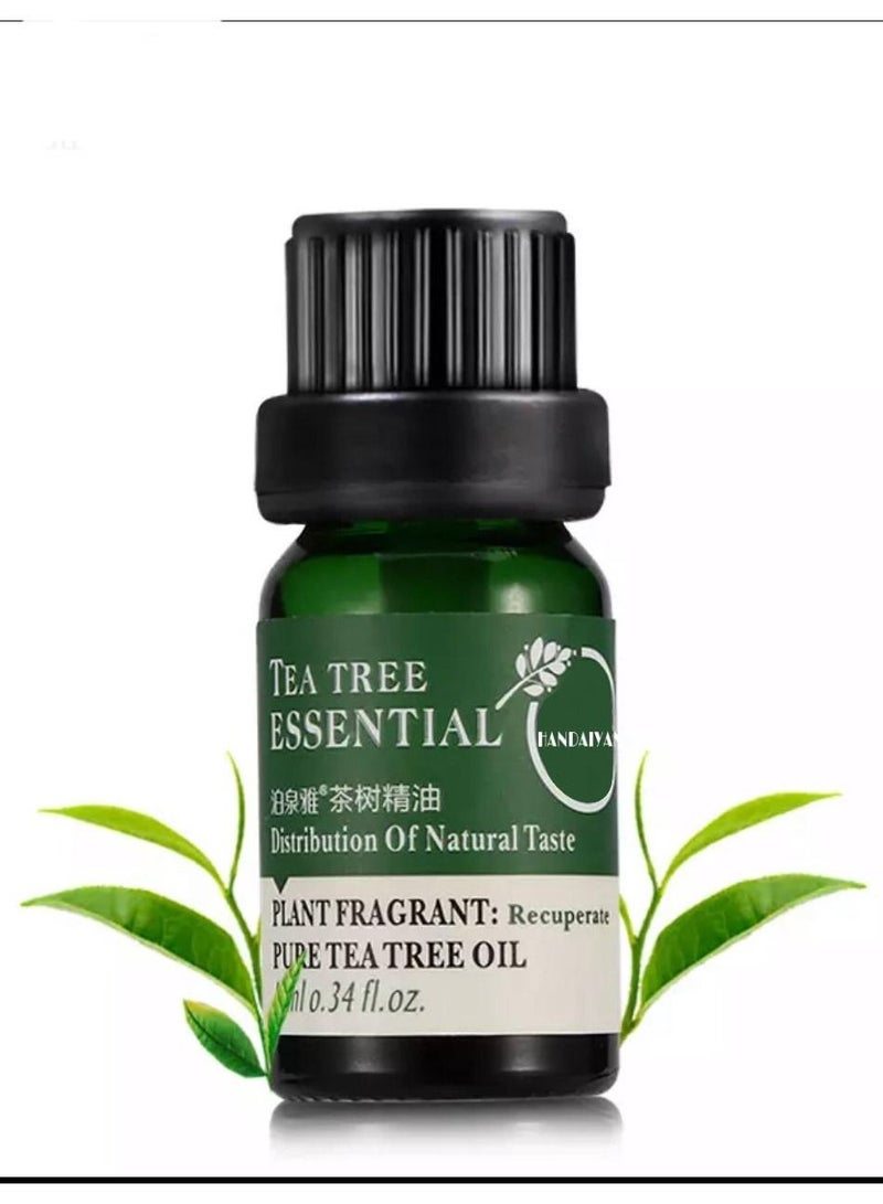 ALIVER Lavender essential oil 30ml + tea tree extract oil to get rid of facial spots 10ml - Image 2
