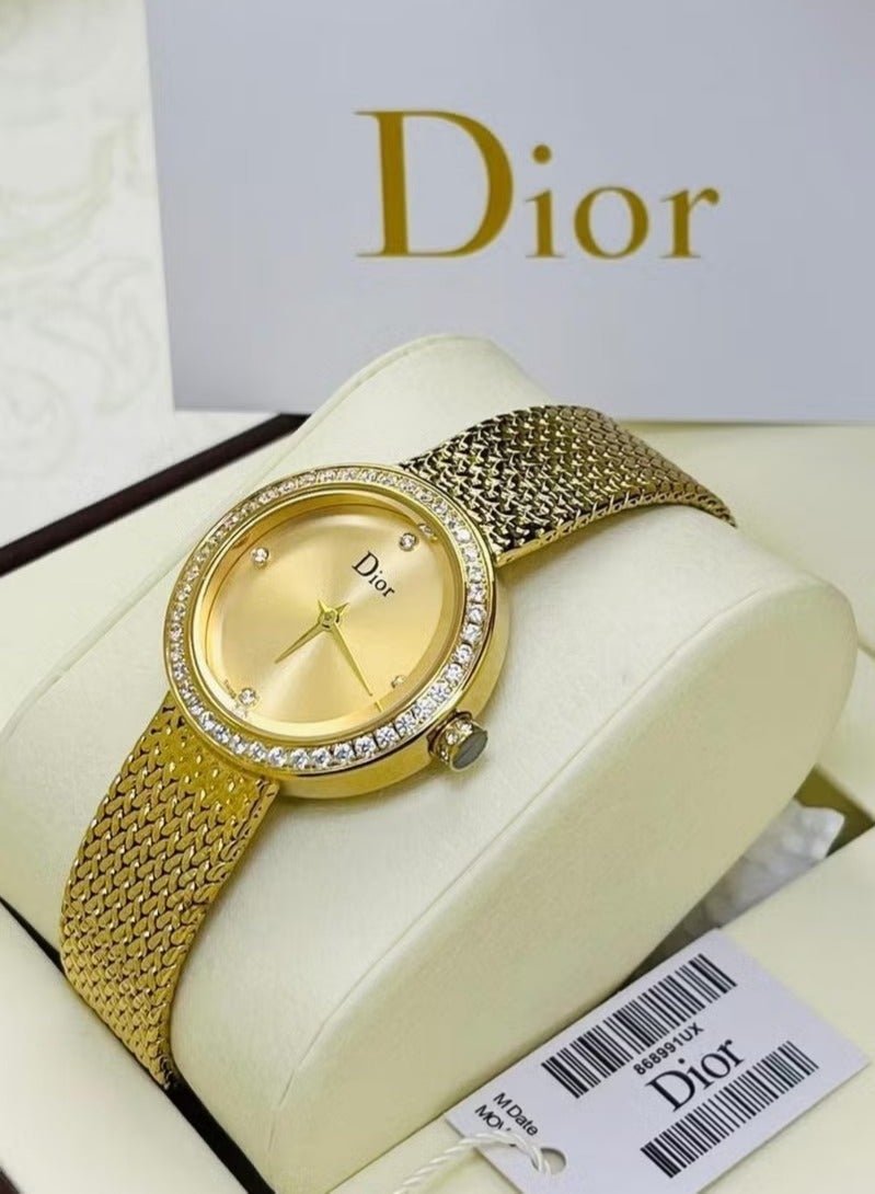 Dior Addict Womens Dior Watch with Stones
