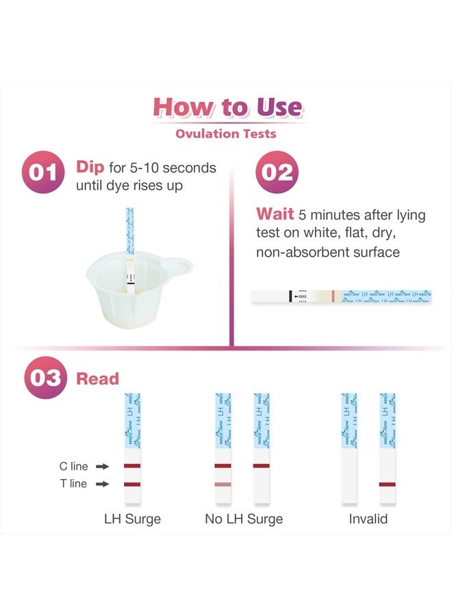 Easy@Home مجموعة اختبار التبويض: 50 شريطًا للتبويض و20 اختبارًا مبكرًا للحمل ومقياس حرارة الجسم الأساسي و70 كوبًا للبول - Image 4