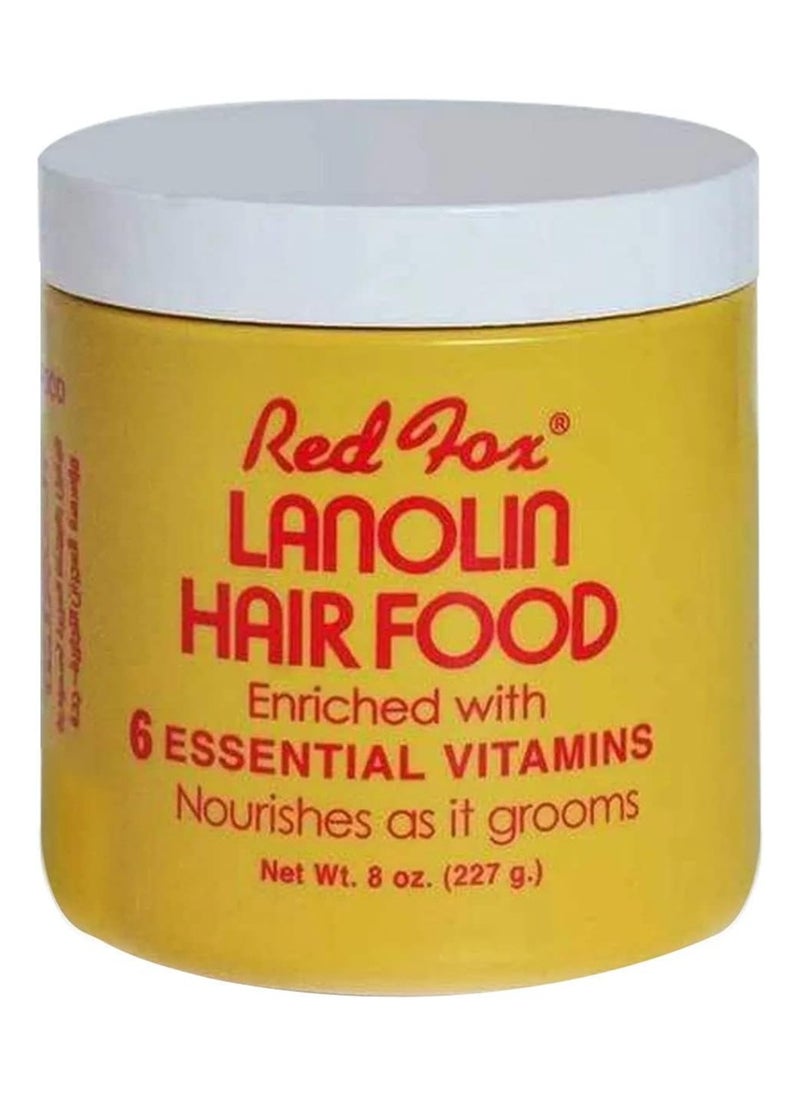 Lanolin Hair Food - pzsku/Z95DA3217679AEFA48D87Z/45/_/1734781081/1a4852ce-2faf-4b92-af4e-b64ba41d1cf7