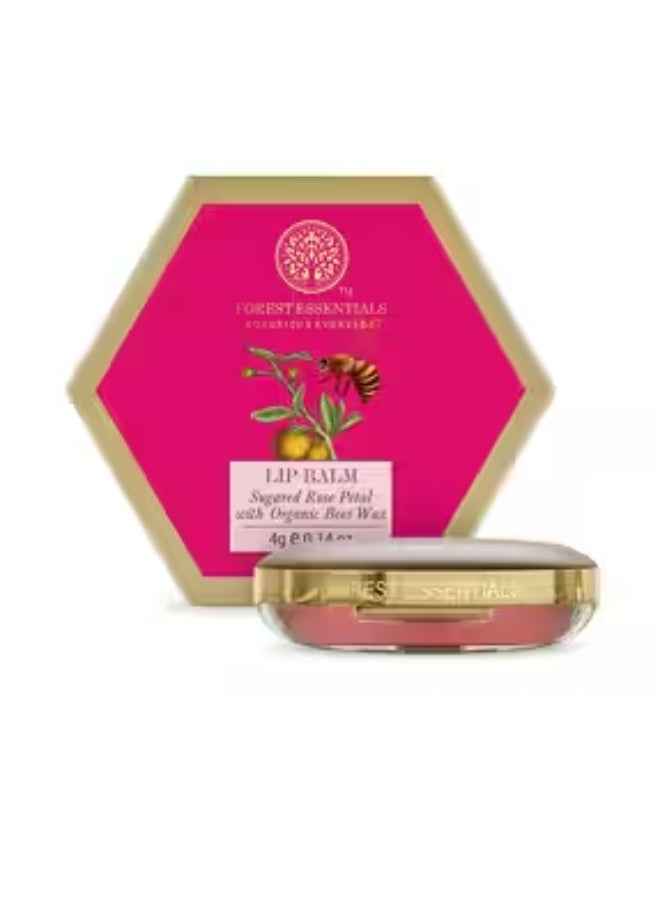 Forest Essentials Tinted Lip Serum Madhu Rasa Gulaab Jal 2.2g, Pink & Forest Essentials Luscious Sugared Rose Petal Lip Balm, 4g - Image 3