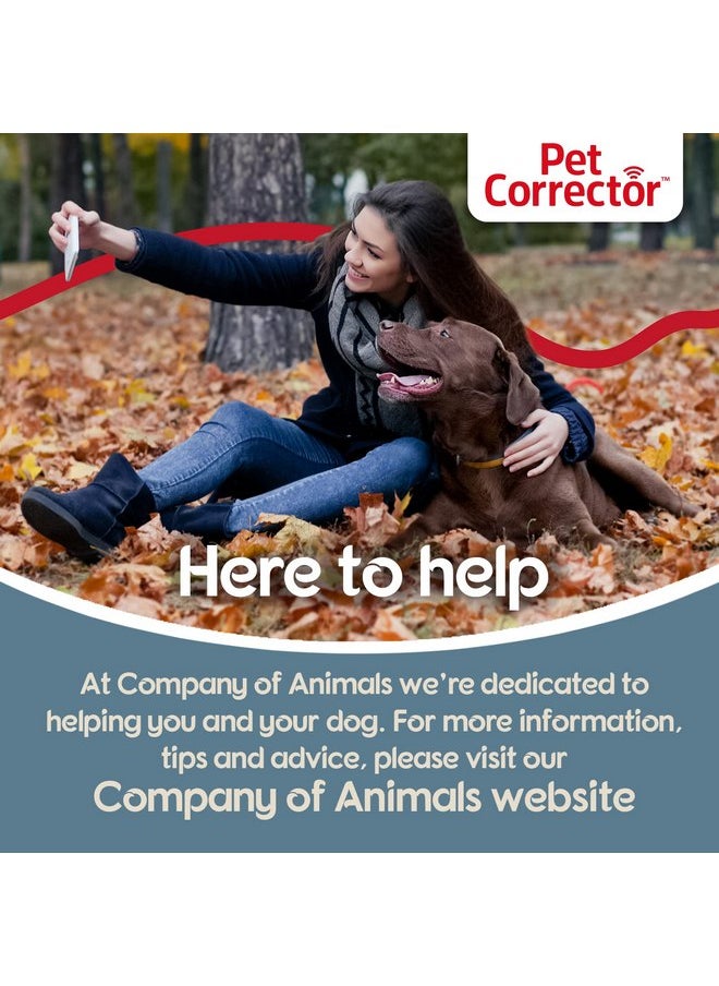 PET CORRECTOR Dog Trainer - Stops Barking, Jumping Up, Place Avoidance, Food Stealing, Dog Fights & Attacks. Help stop unwanted dog behaviour. Easy to use, safe, humane, and effective (50ml), AP00