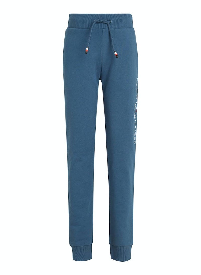 TOMMY HILFIGER - Kids' Dual Gender Th Established Essential Joggers -  Pure cotton terry, Blue - Image 1