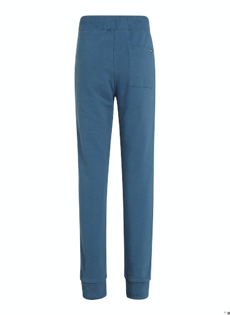 TOMMY HILFIGER - Kids' Dual Gender Th Established Essential Joggers -  Pure cotton terry, Blue - Image 1