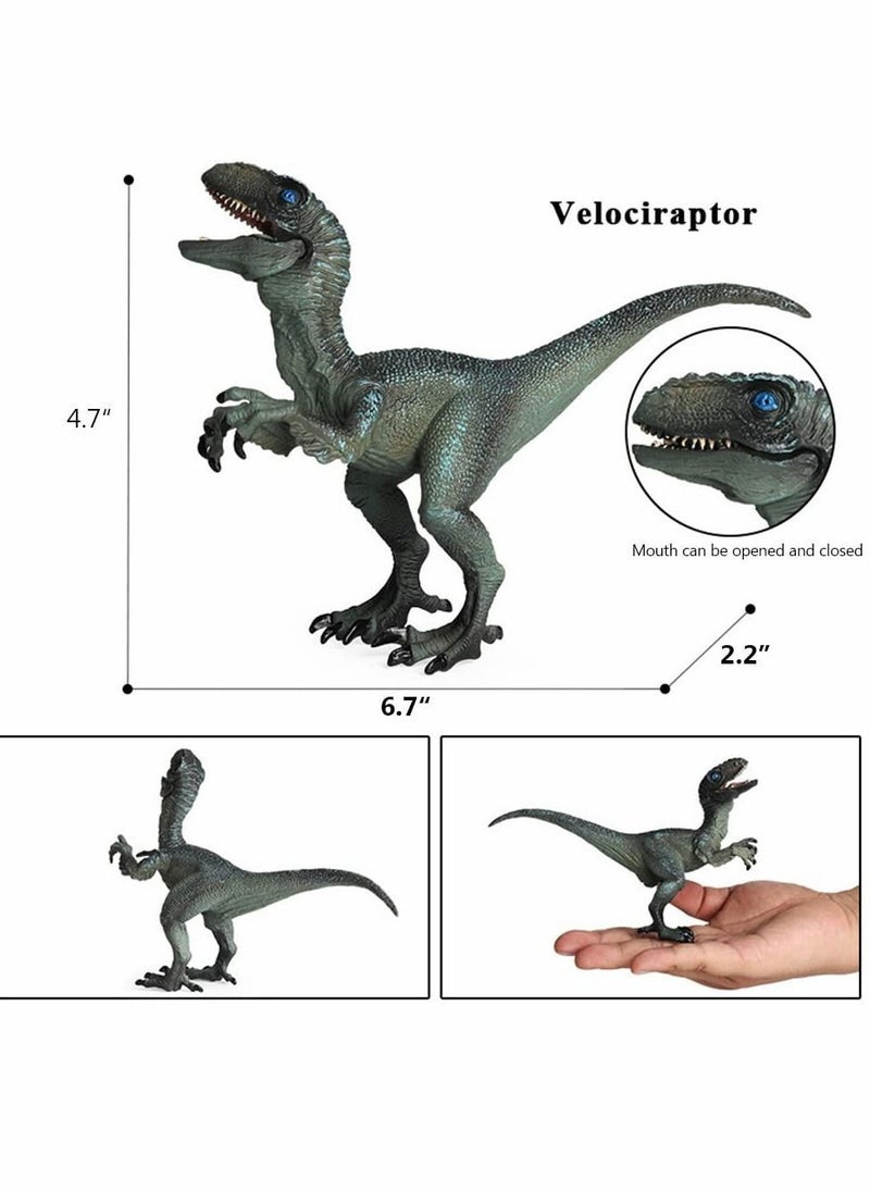 Y&D Dinosaur Toy Dilophosaurus & Velociraptor, Realistic Educational Figures with Moveable Jaw, Plastic Wildlife Animal Dino Model Figurines for Birthday Gift, Kids Toys, Party Favor  - Image 5