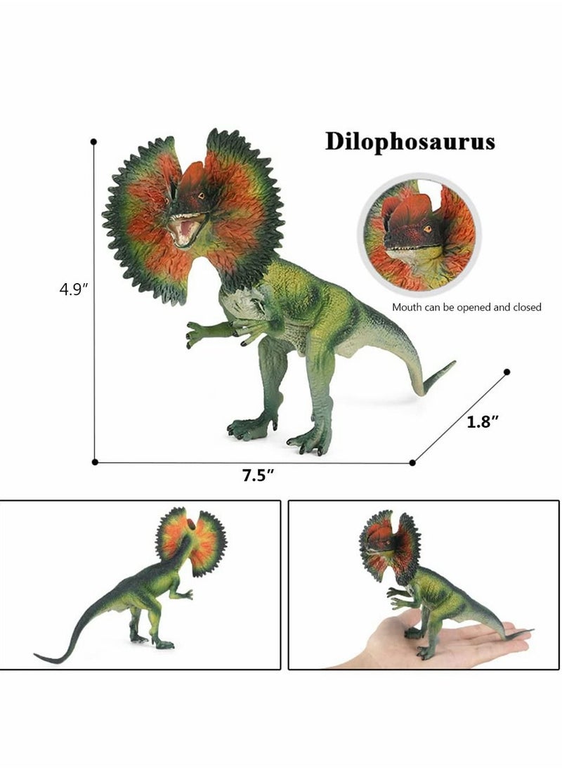 Y&D Dinosaur Toy Dilophosaurus & Velociraptor, Realistic Educational Figures with Moveable Jaw, Plastic Wildlife Animal Dino Model Figurines for Birthday Gift, Kids Toys, Party Favor  - Image 4