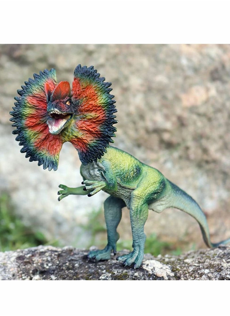 Y&D Dinosaur Toy Dilophosaurus & Velociraptor, Realistic Educational Figures with Moveable Jaw, Plastic Wildlife Animal Dino Model Figurines for Birthday Gift, Kids Toys, Party Favor  - Image 3