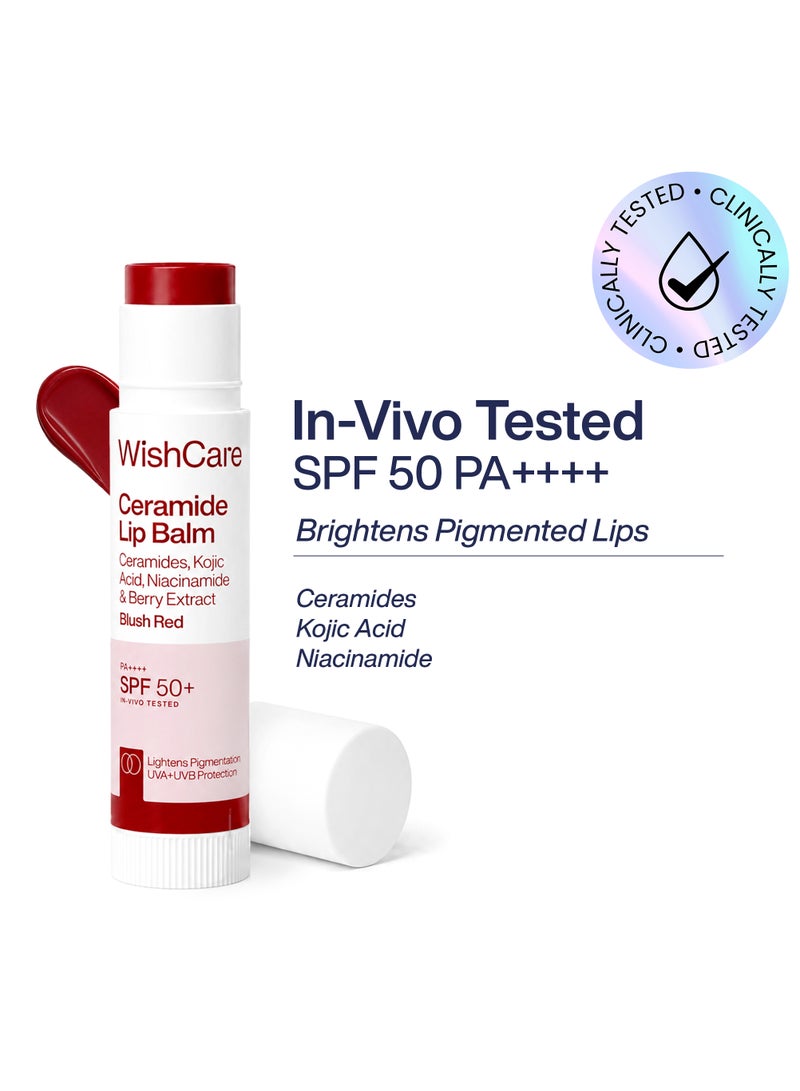 WishCare Daily Tinted Fluid Sunscreen SPF 50 PA++++ with Ectoin and Niacinamide, Lightweight Facial Sun Protection with Skin-Evening Tint, Shade M203, 50 ml - Image 1