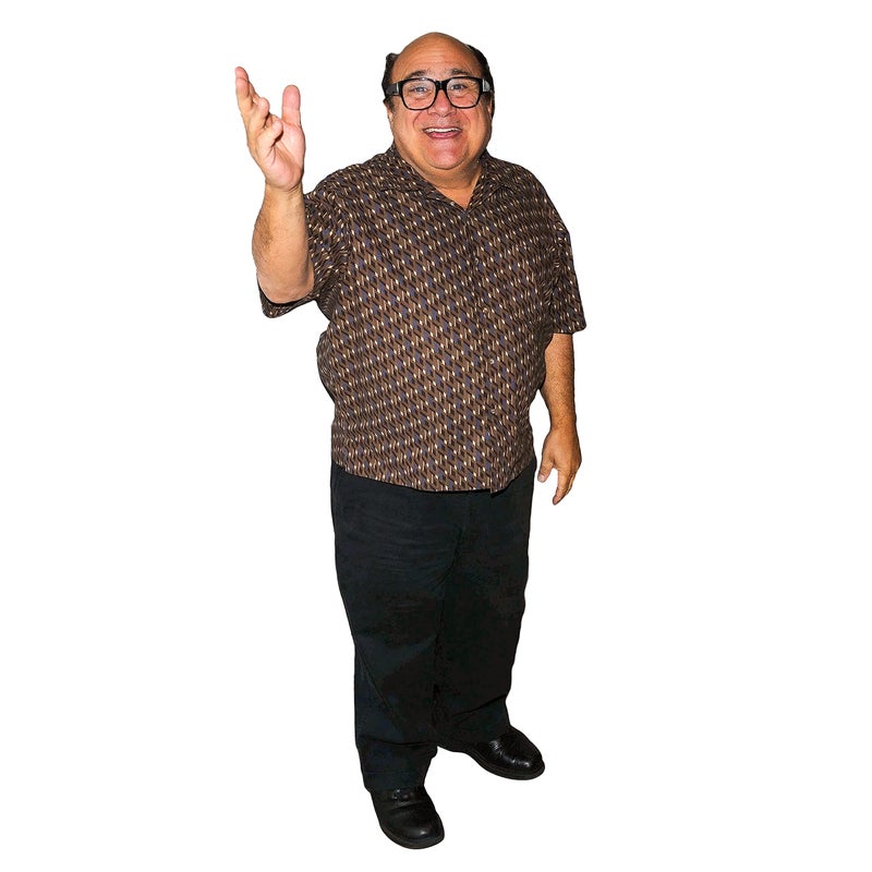 Novelty Native Danny Devito Life Size Standup Cardboard Cutout Standee (Creaseless Edition) - Image 1