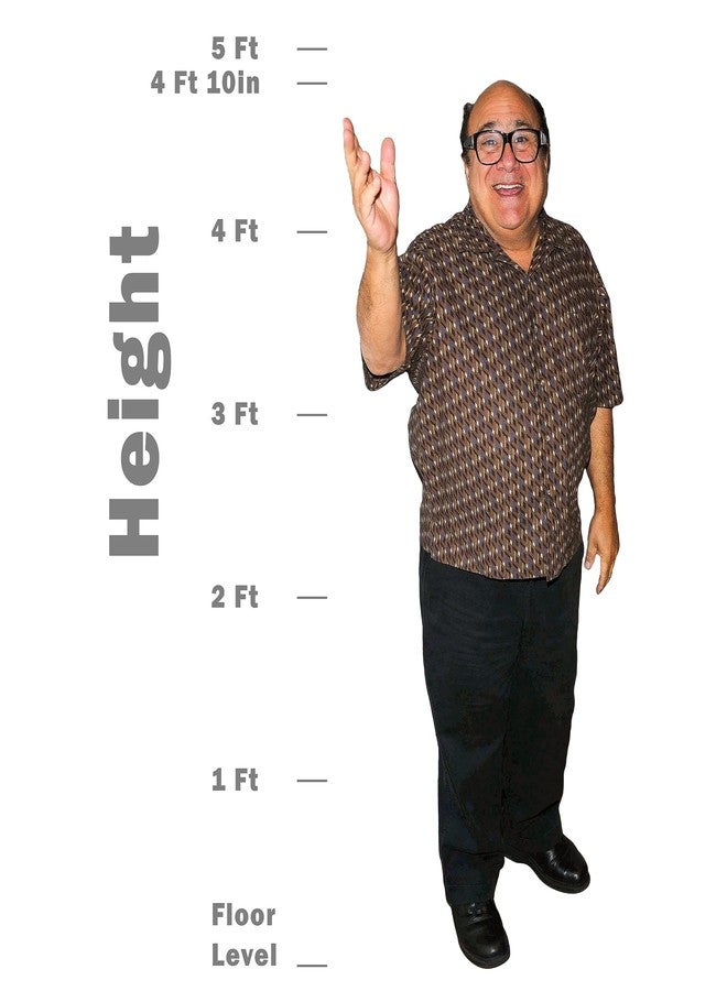 Novelty Native Danny Devito Life Size Standup Cardboard Cutout Standee (Creaseless Edition) - Image 3