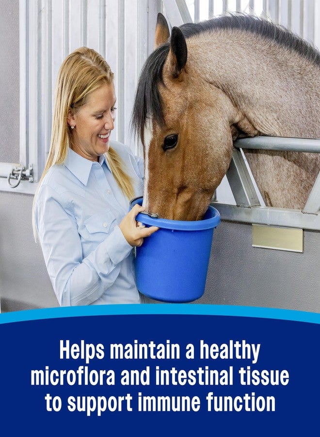 Farnam Hindgut Stabilizer Pellets, Daily Digestive & Immune Supplement for Horses Helps Maintain a Balanced Microbiome for Optimal Digestion - Image 5