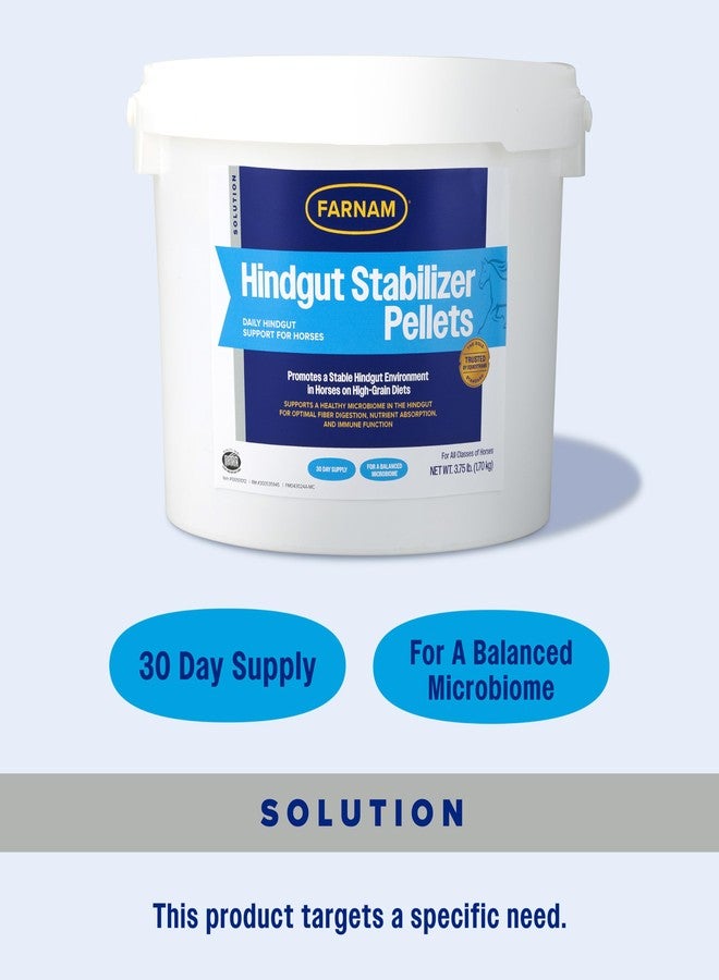 Farnam Hindgut Stabilizer Pellets, Daily Digestive & Immune Supplement for Horses Helps Maintain a Balanced Microbiome for Optimal Digestion - Image 3