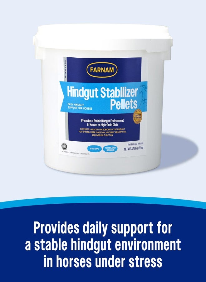 Farnam Hindgut Stabilizer Pellets, Daily Digestive & Immune Supplement for Horses Helps Maintain a Balanced Microbiome for Optimal Digestion - Image 2