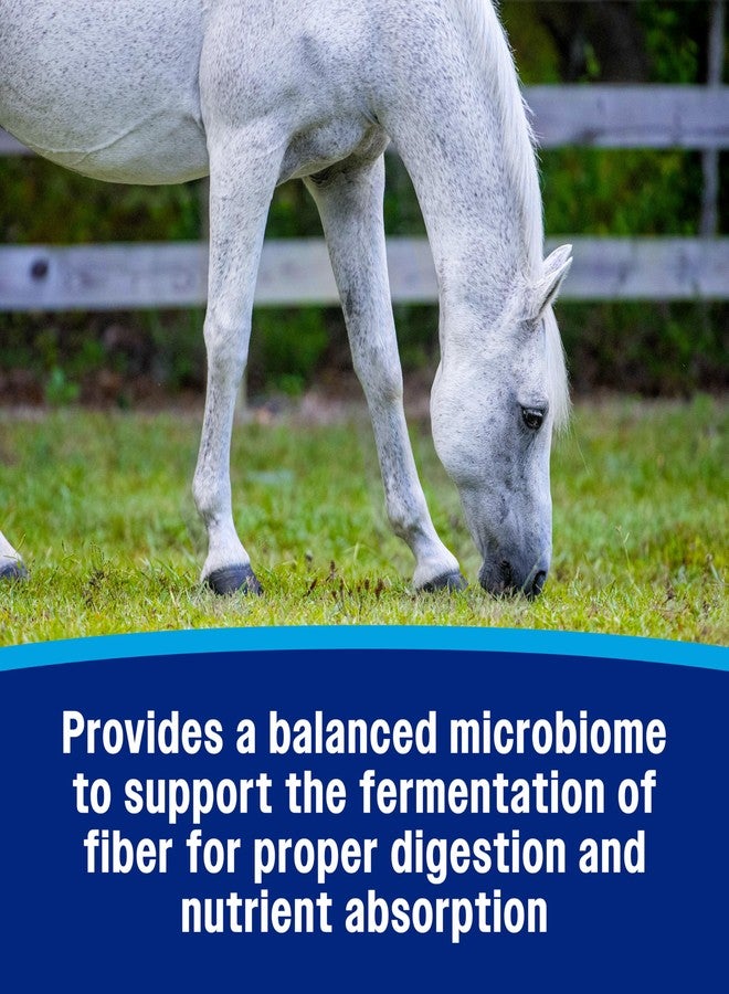 Farnam Hindgut Stabilizer Pellets, Daily Digestive & Immune Supplement for Horses Helps Maintain a Balanced Microbiome for Optimal Digestion - Image 4