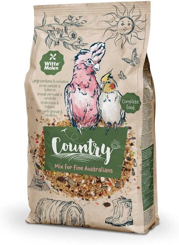 Country Large Parakeet Bird Food 550g - pzsku/Z95E074AD5FAA99CEFBD2Z/45/_/1680675905/288fd49b-9511-45de-aa3a-bfdde9eca2af