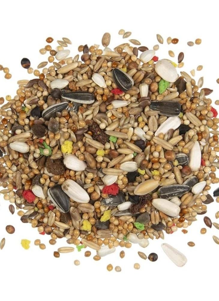 Country Large Parakeet Bird Food 550g - pzsku/Z95E074AD5FAA99CEFBD2Z/45/_/1680675906/61f8ecbb-62c7-47c2-8117-2fb4a98de010