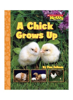 A Chick Grows Up 