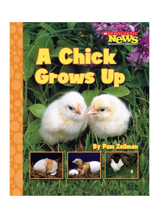 A Chick Grows Up 