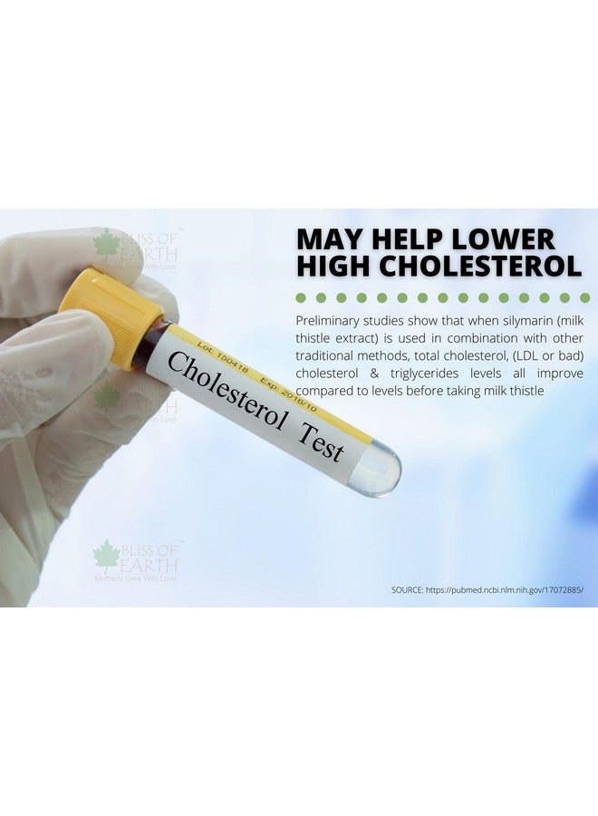 BLISS OF EARTH بليس أوف إيرث 500 جرام بذور الشوك الحليب غذاء عضوي خارق لتنظيف الكبد، تعزيز المناعة والتحكم في سكر الدم. - Image 3