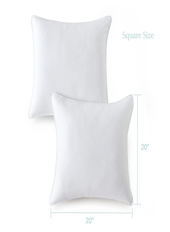 Seward Park Throw Pillows 20 x 20 inch Set of 2, Soft Fluffy Decorative Pillow Inserts for Couch Cushion and Sofa - Image 2